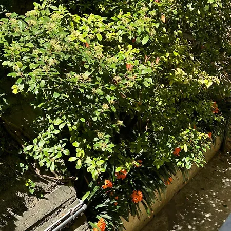 Palais De France Classic Charm * ボーソレイユ